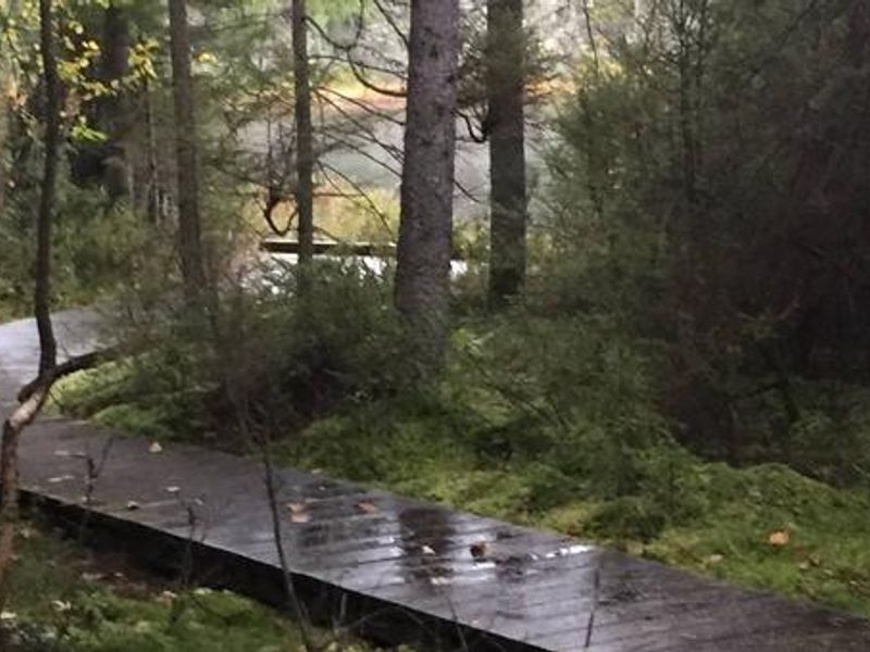 A short trail and boardwalk takes campers to the lake.
