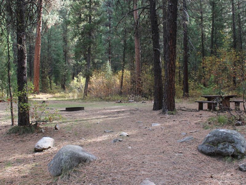 Large campsite at Park Creek