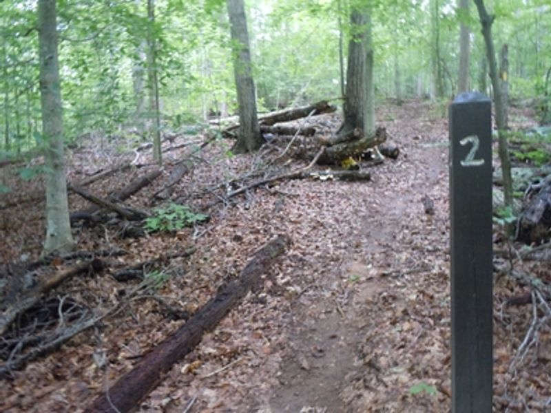 A trailside marker notes the entrance to campsite #2