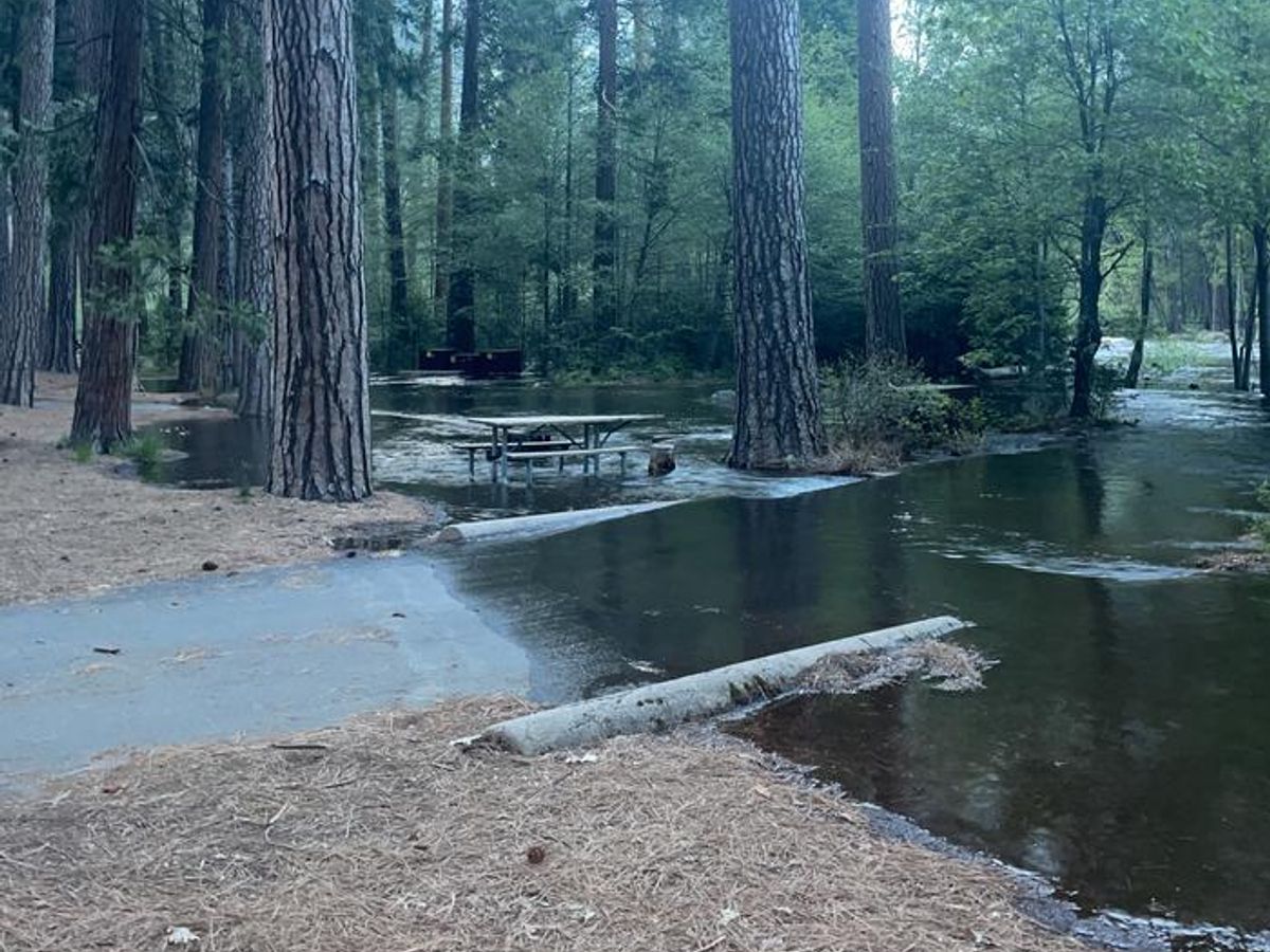 Flooding in Lower Pines #62