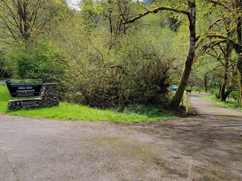 Portal sign and entrance to Alder Glen Campground