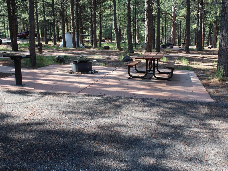 Newly renovated campsite.