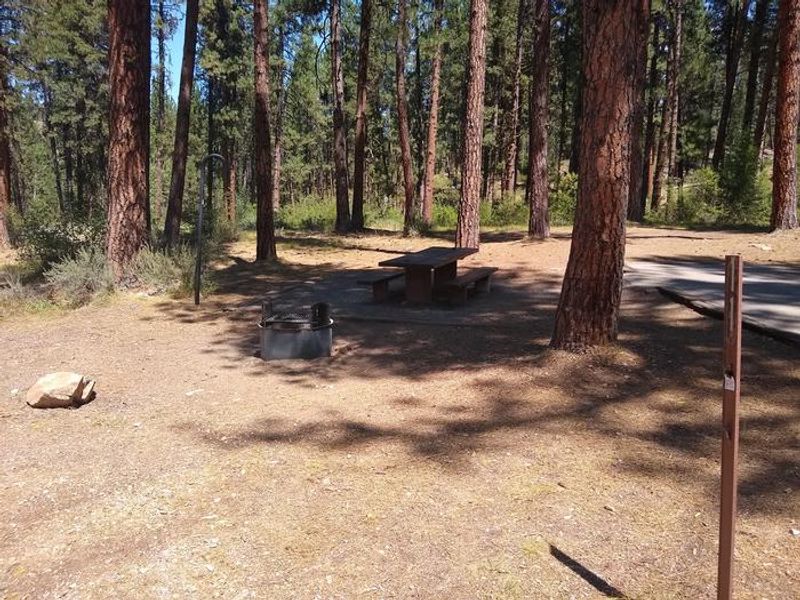 A closeup of Site 9 at Grayback Gulch.