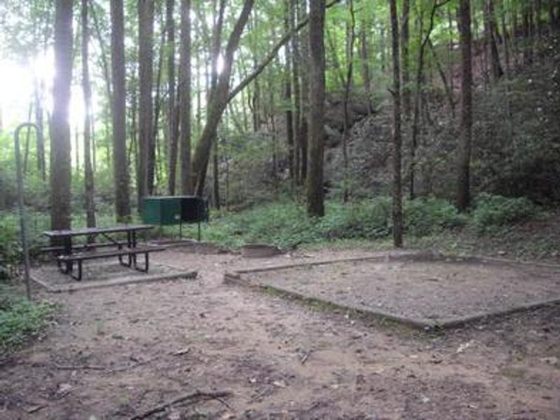 A non-paved campsite with tent pad, picnic table, lantern hook and food storage locker. 