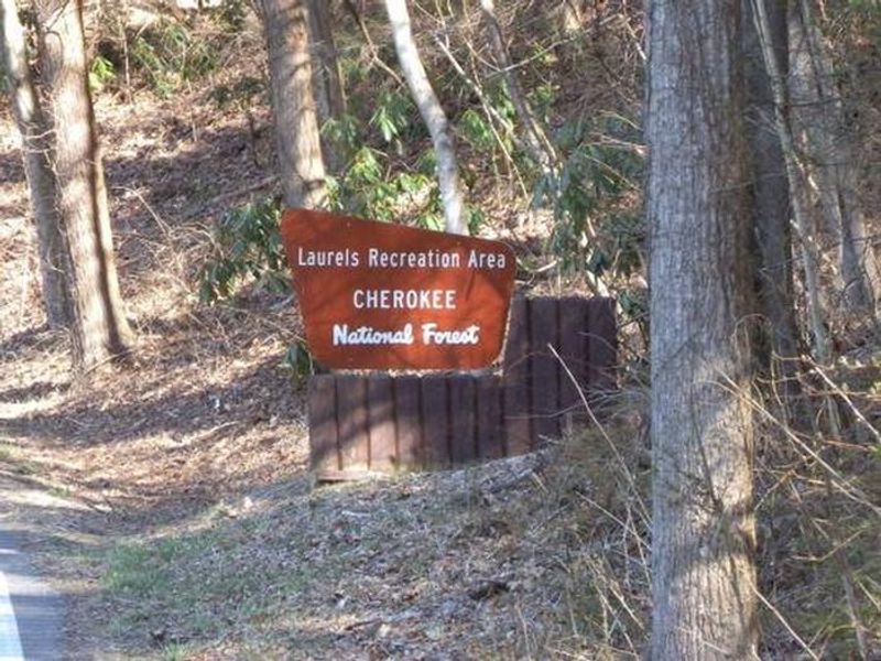 Entrance Sign at The Laurels