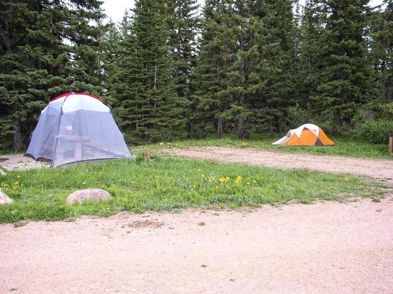 Bald Mountain Site 1