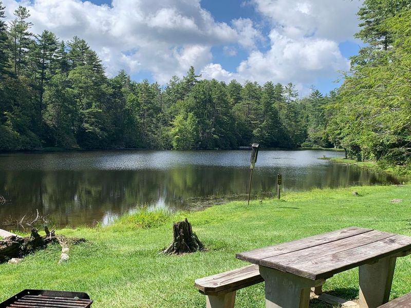 Lakeside picnic area