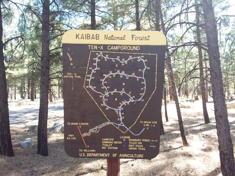 TEN-X Campground Map