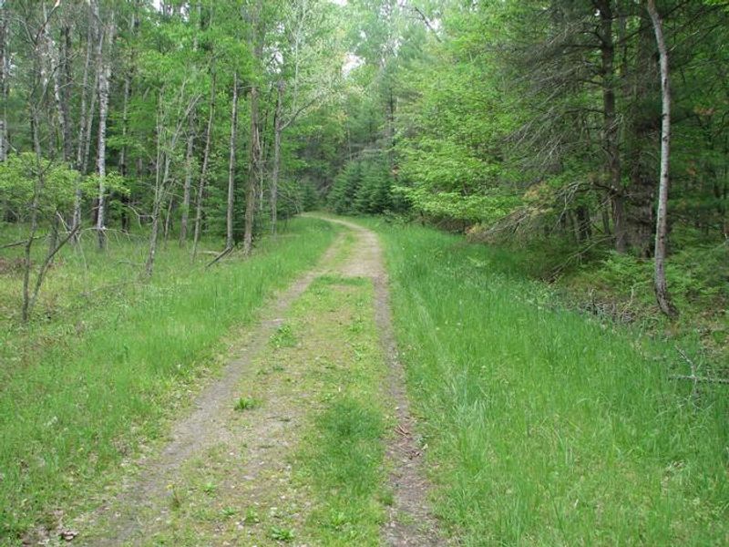 The foot trail to the Wakeley Lake Campground