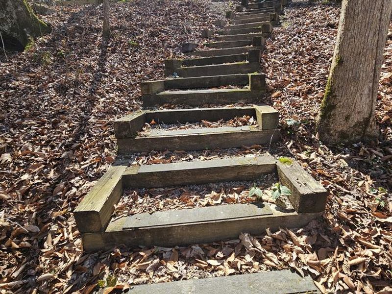 Steps to a campsite.