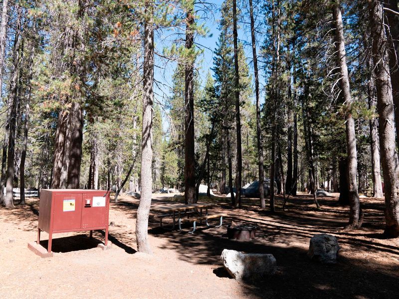 Empty White Wolf Campsite