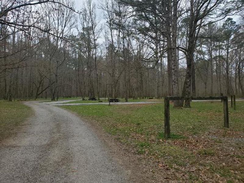 A photo of facility Cottonwood Patch Campground 