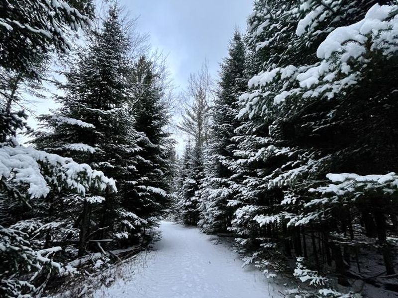 A photo of facility Wakeley Lake Campground with No Amenities Shown