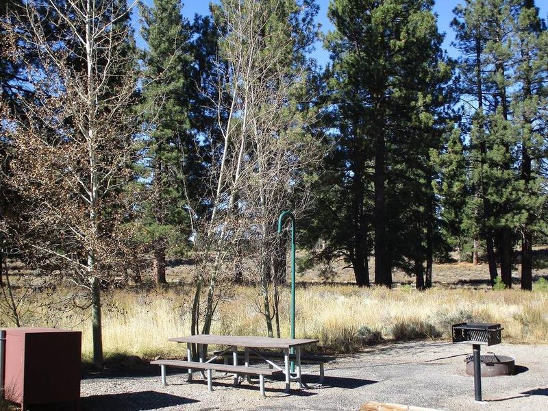 Each campsite features a bear box, picnic table, fire ring, grill, and lantern hook.
