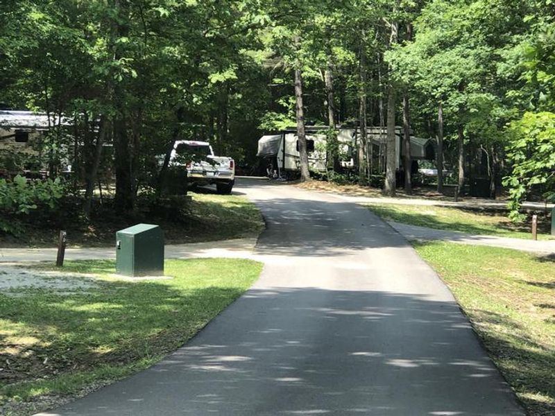 D loop paved roads with green grass and plenty of shade trees. 