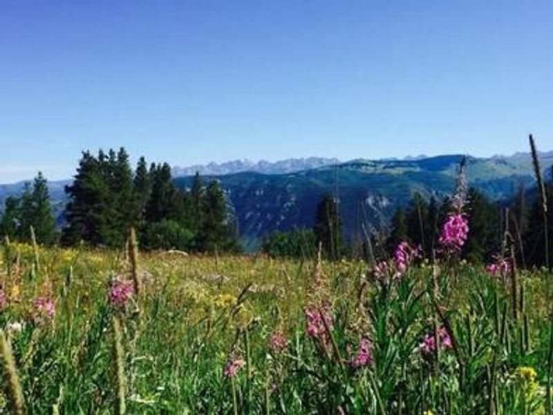 View from the front porch