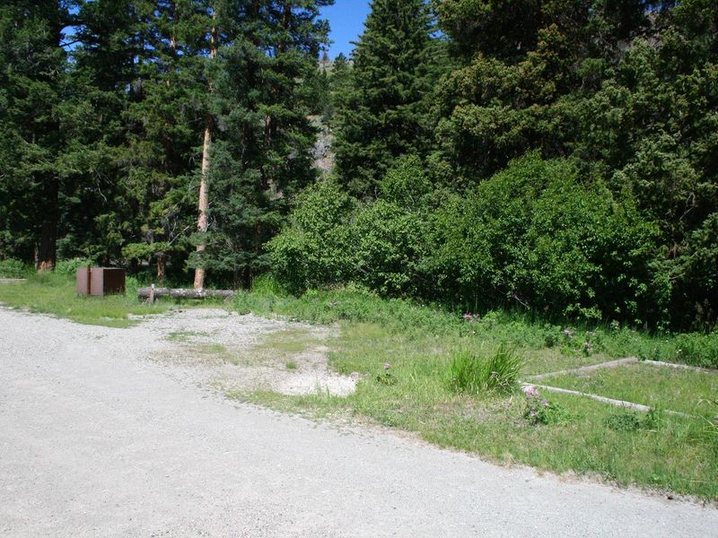 Slough Creek Campground Site #9