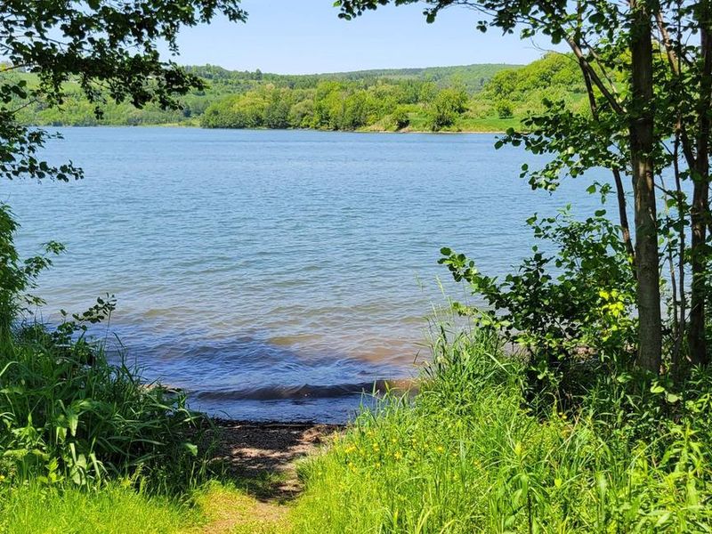 View of Hammond Lake from Ives Run's Pine Camp primitive camping area
