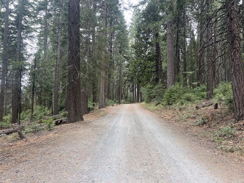 PONDEROSA COVE GROUP CAMPGROUND
