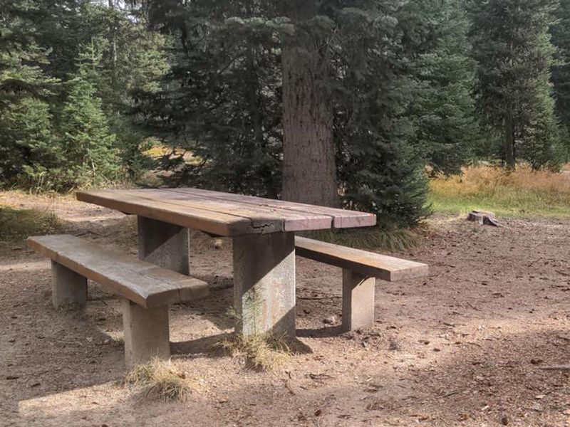 Campsite at Jeanette Campground