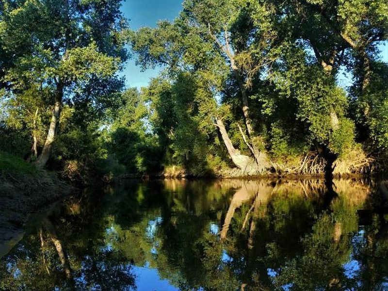 Stanislaus River at McHenry Ave. Recreation Area