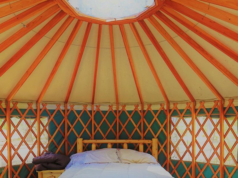 Yurt #22