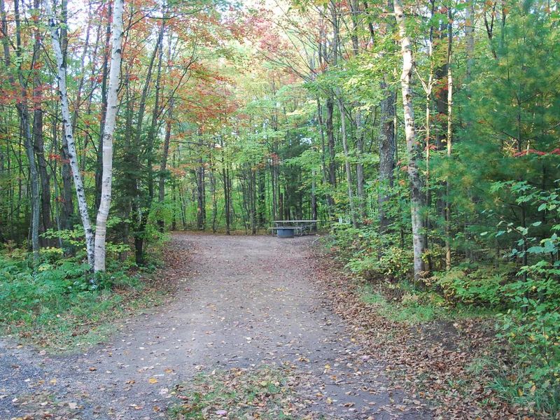 Bay Furnace Campground campsite.