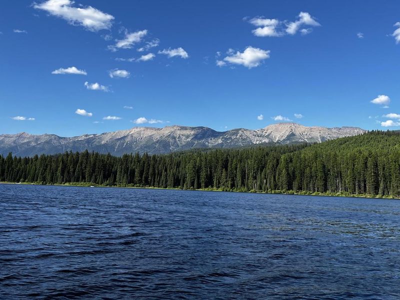 A photo of Lake Alva on a sunny day. The water and skies are bright blue, and trees and the swan range can be seen in the background.