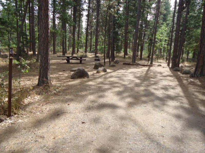 Rock Creek Mt Hood NF