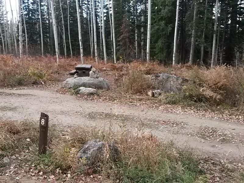 Dry lake campground site 8 table fire pit and trees