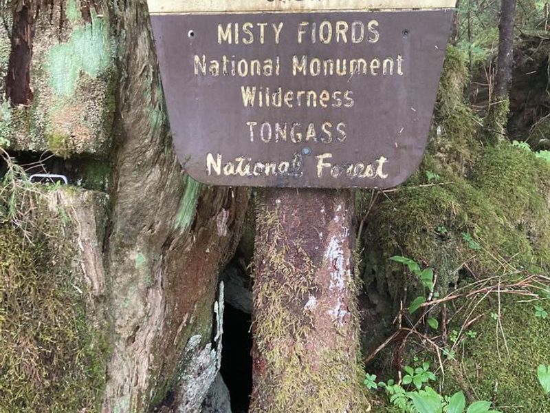 Manzanita Lake Cabin Sign