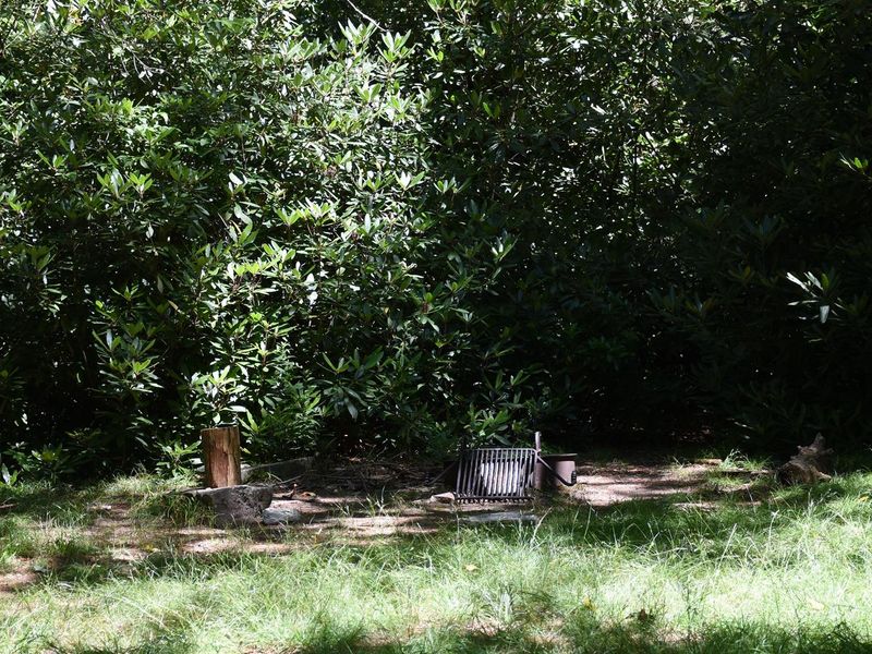 Johns River Road Backcountry Campsite with Grill