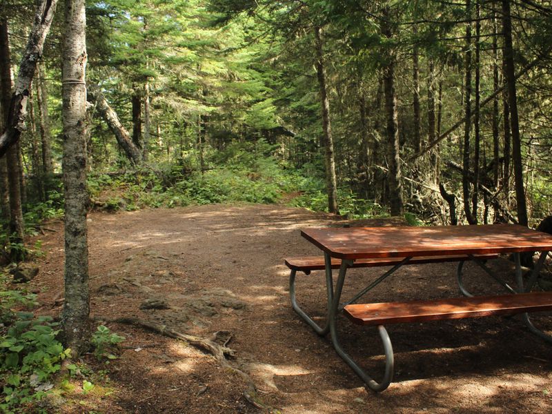 Rock Harbor Campground is the busiest in the park being closest to the transportation hub for RANGER III, QUEEN IV, and seaplane.