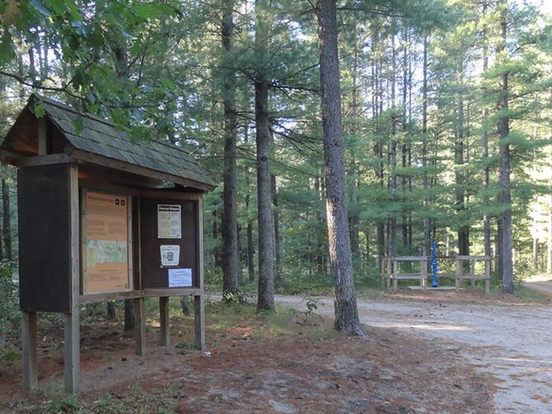 Marzinski Horse Trail and Campground
