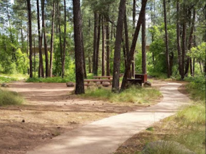 Walk-in access to campsites using sidewalk.