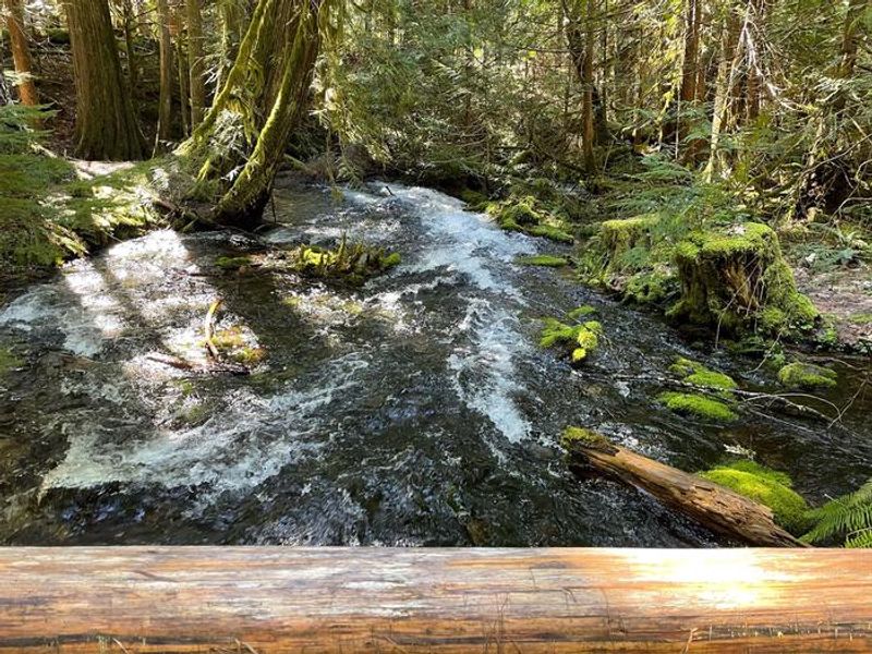 The springs fluctuate in level seasonally but always offer the nearby sounds of running water.