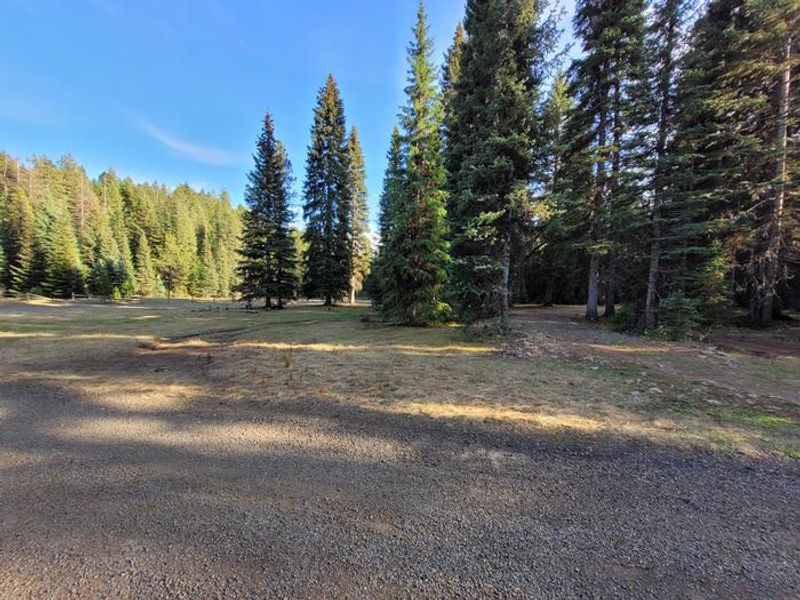 Fish Creek Group Site