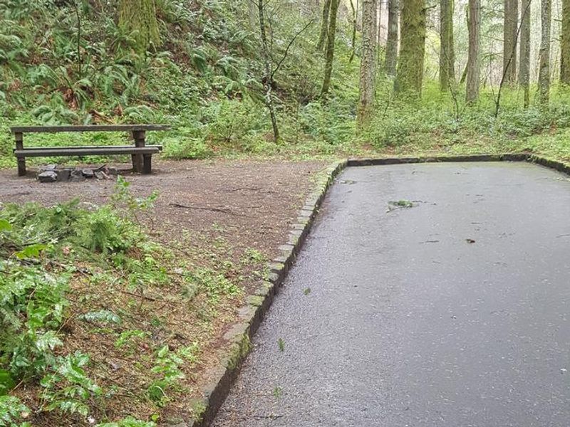 Wyeth Campground typical site