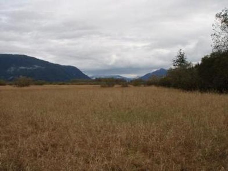 Sergief Island Cabin scenery