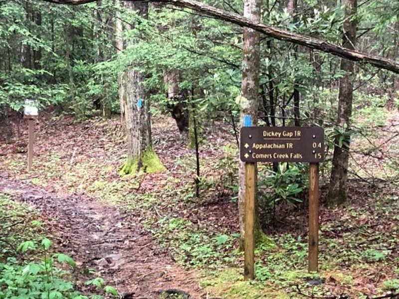 Trailhead at Hurricane Campground