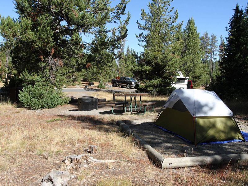 Indian Creek Campground site #66