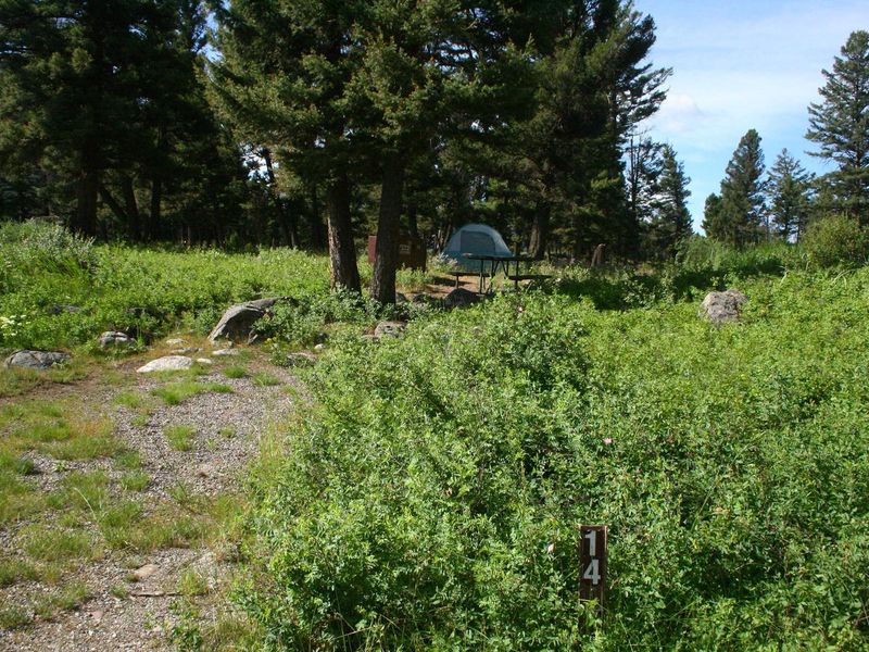 Slough Creek Campground Site #14