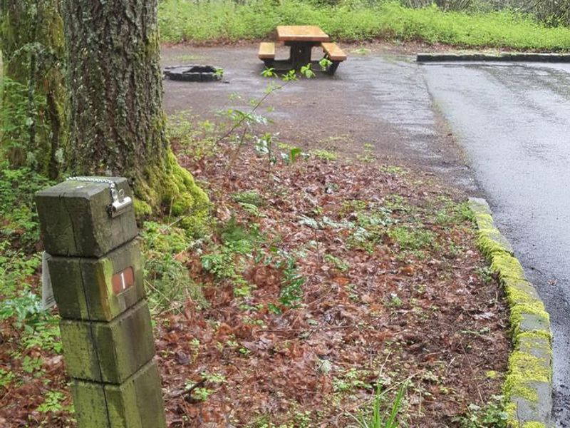 Wyeth campground Site #1