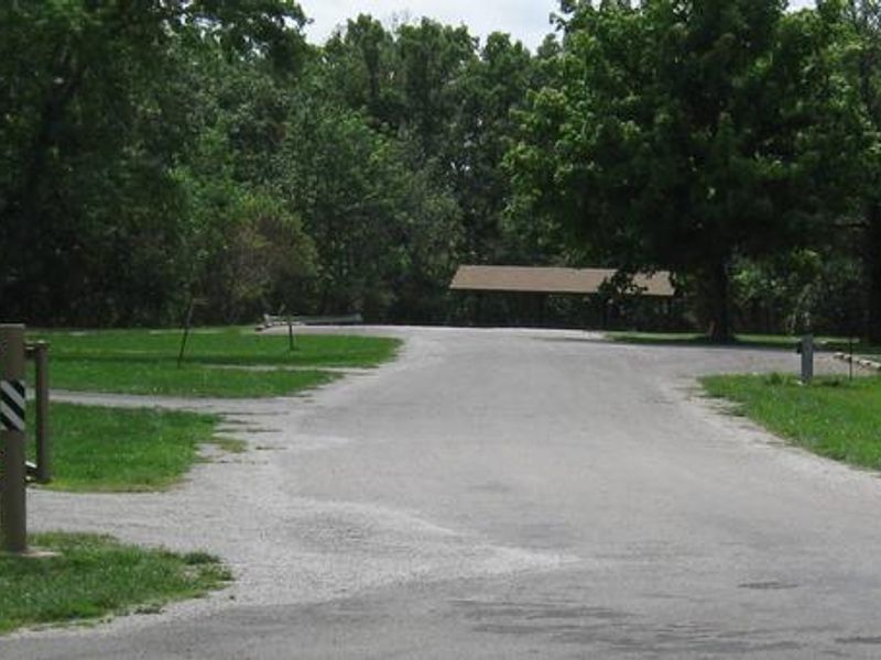 Lone Point Group Camp