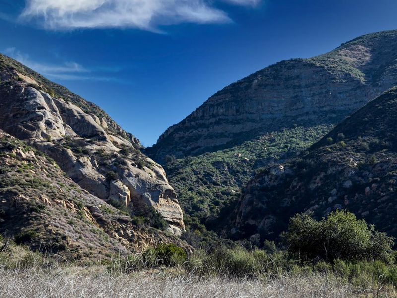Upper Oso road Into campground 