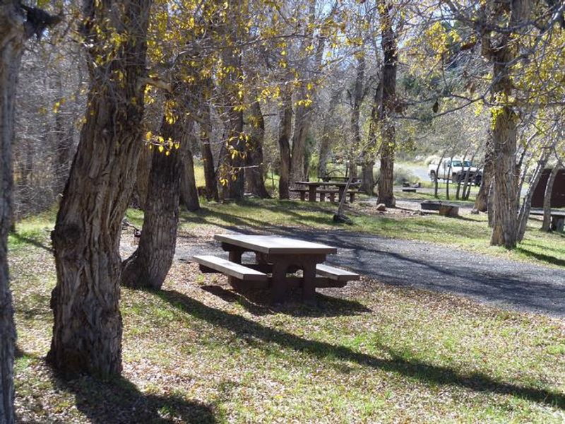 Camping along the creek