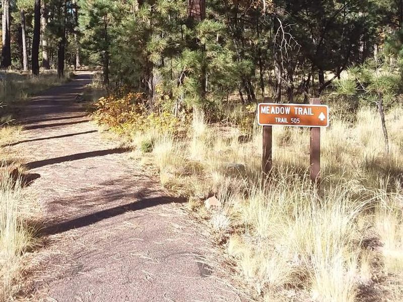 Meadow Trail
