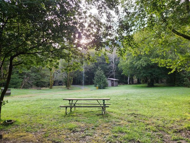 Edson Group site, reservations only 