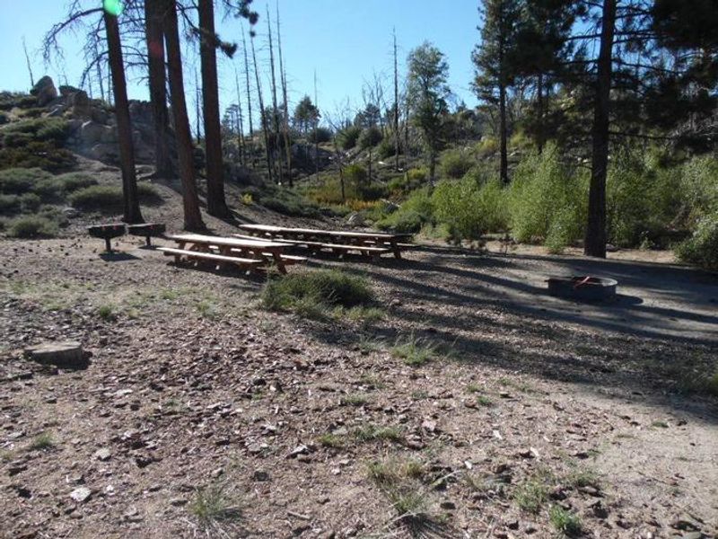 Picnic Tables at Grays Peak Group Campground