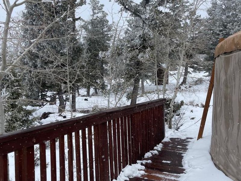 Bathroom in Distance (~20 yards NW of yurt)